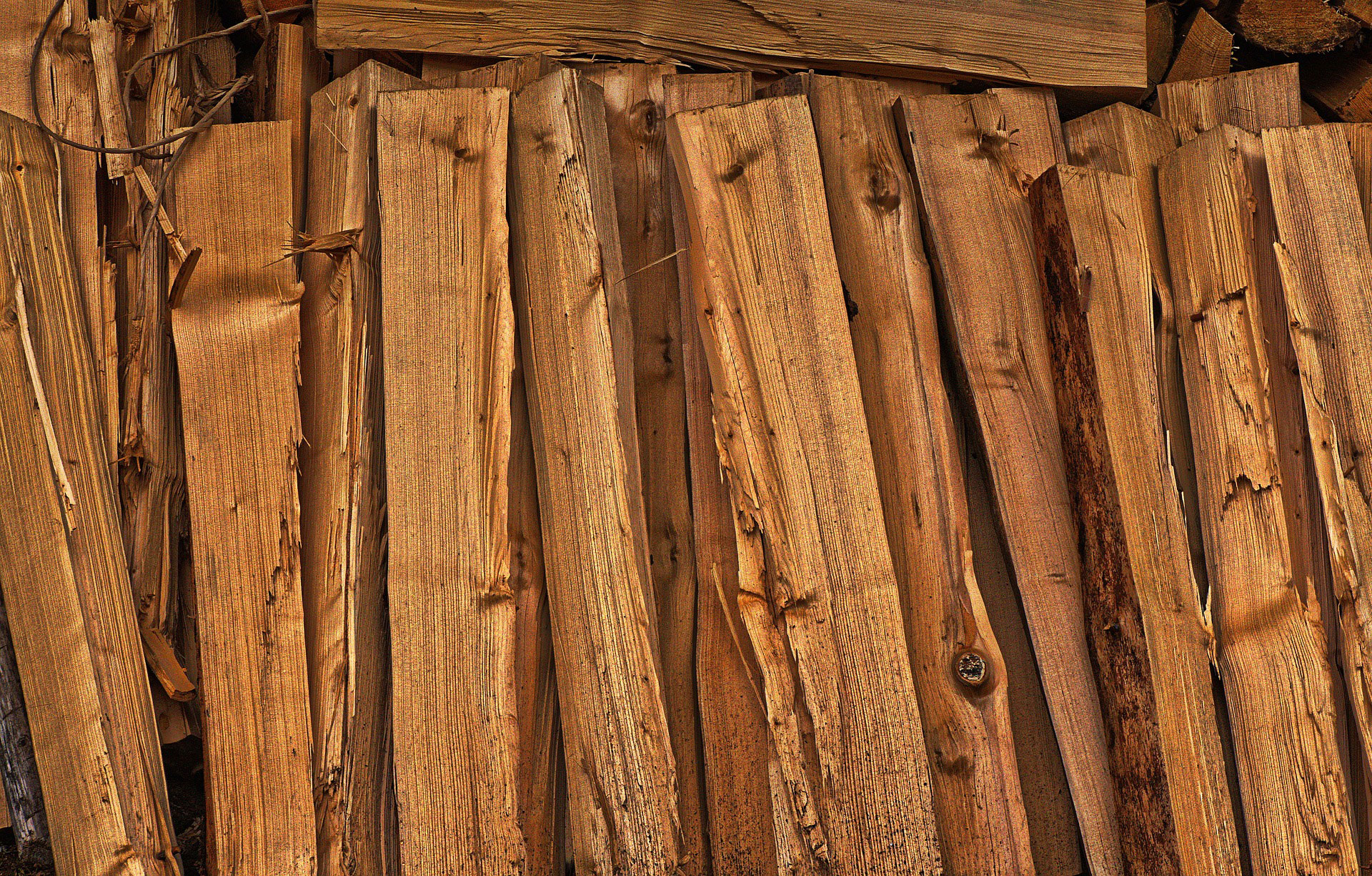 Biomasse als Brennmaterial für Holzheizungen